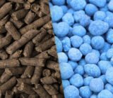 Organic vs mineral fertilizer: which one to choose?