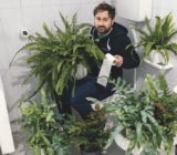 3 perfect plants for your bathroom!