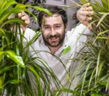 Advice, Cultivation and Care » Online Plant Sales