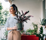 Furnishing with succulents: ideas for balconies and terraces