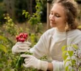 Growing fruit plants: everything you need to know