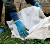 How to cover plants from frost: everything you need to know