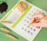 Plant calendar: vegetable garden month by month