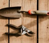 Sterilize garden tools – Online Plant Sales