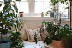 Aromatic plants corner: how to make it