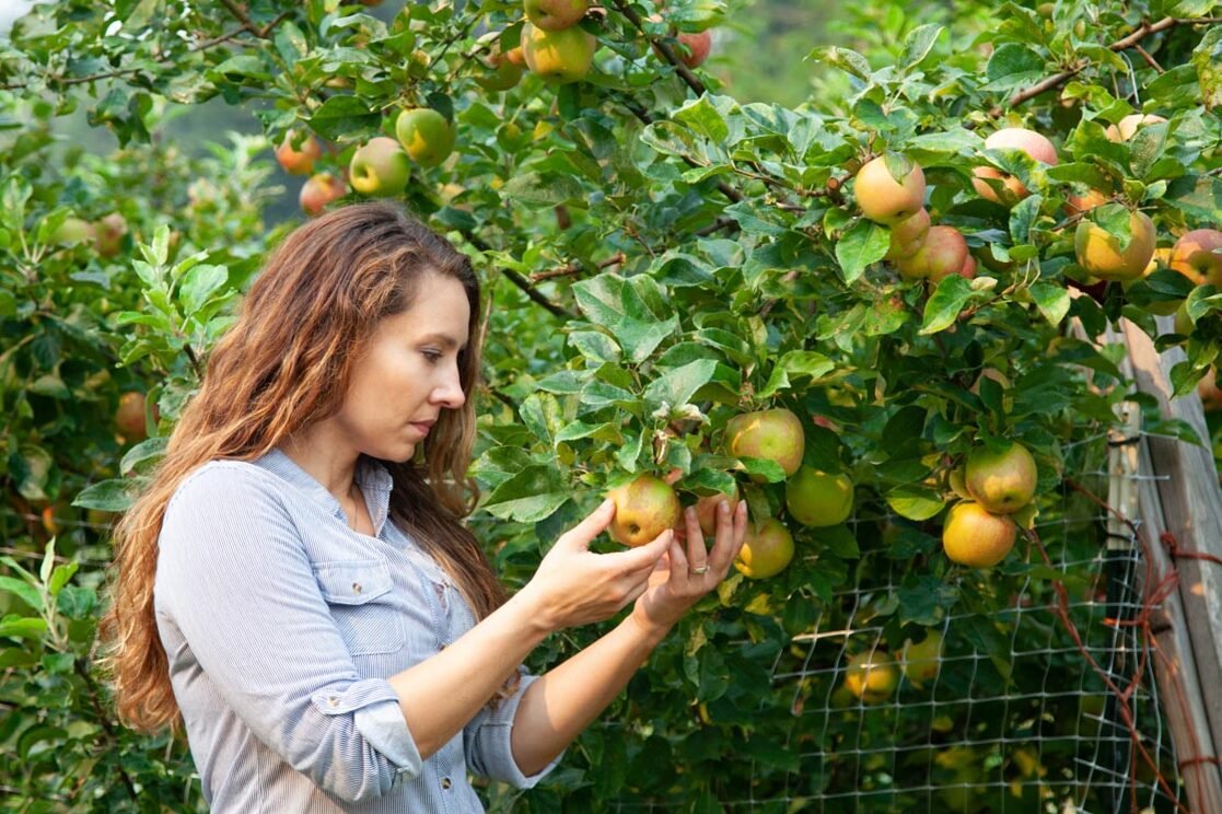 Growing fruit plants: everything you need to know