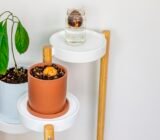 how to do it? Here are all the steps! | Garden