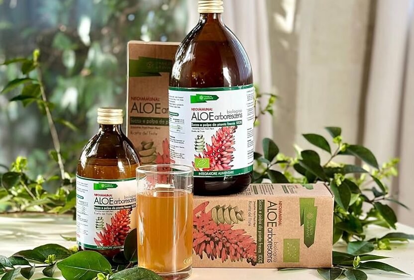 How to obtain syrup from Aloe Arborescens, Father Romano Zago's recipe