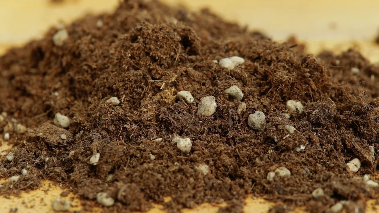 Detail of a small pile of excellent quality soil with pumice stone