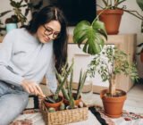 Growing plants at home: what to know before starting