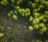 What is happening to our Planet?